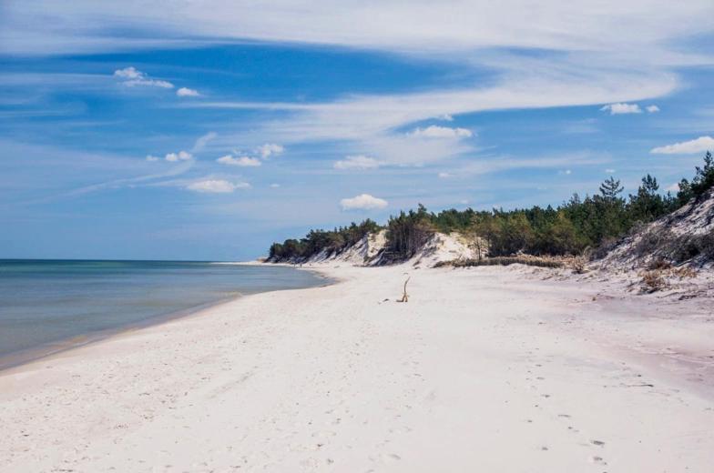 Apartament Premium Green Dune W Porto Łeba Kültér fotó