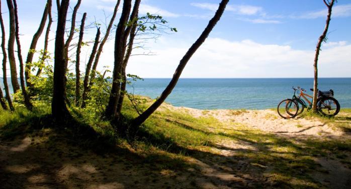 Apartament Premium Green Dune W Porto Łeba Kültér fotó